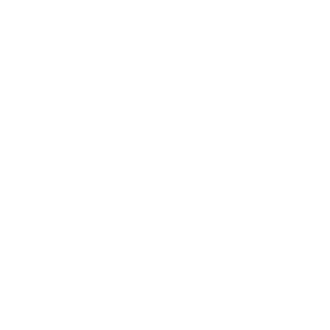 Consorzio Elint